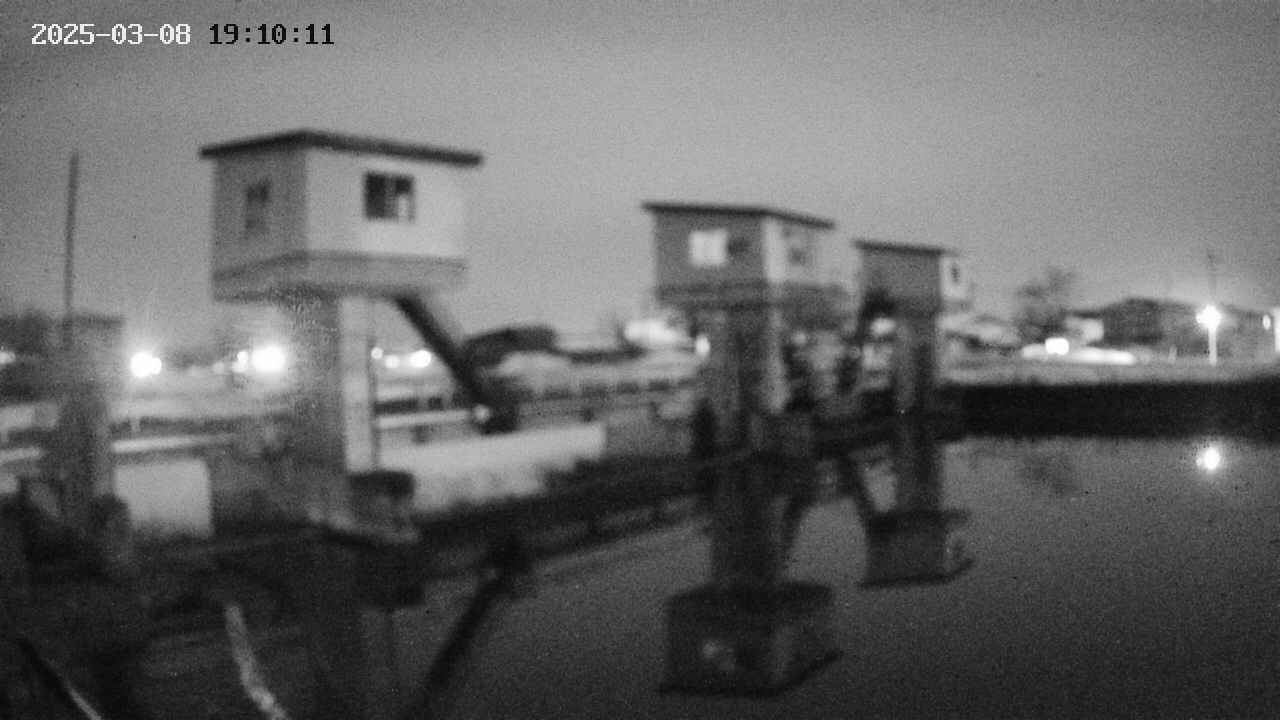 area1-20250308191012.jpg