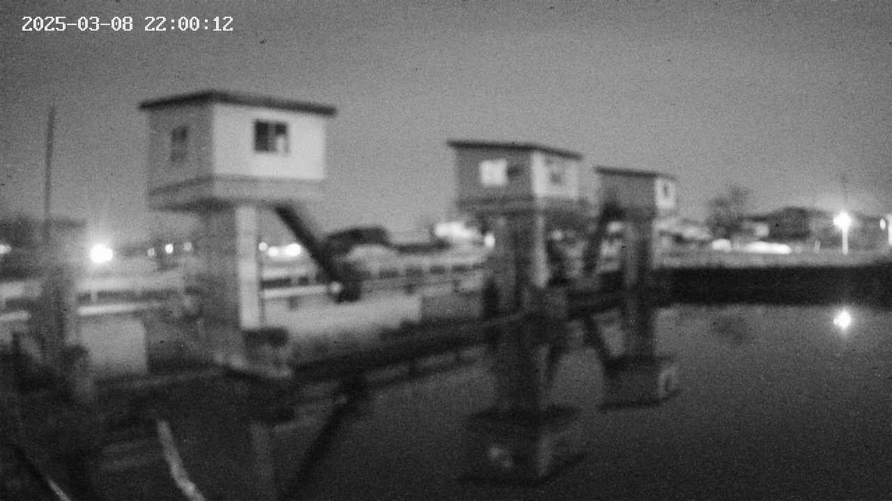area1-20250308220012.jpg