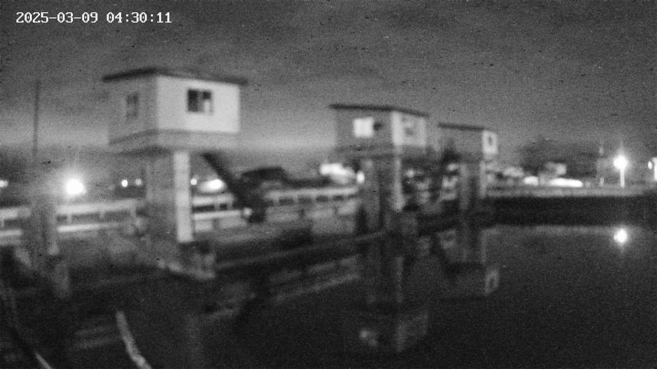 area1-20250309043013.jpg