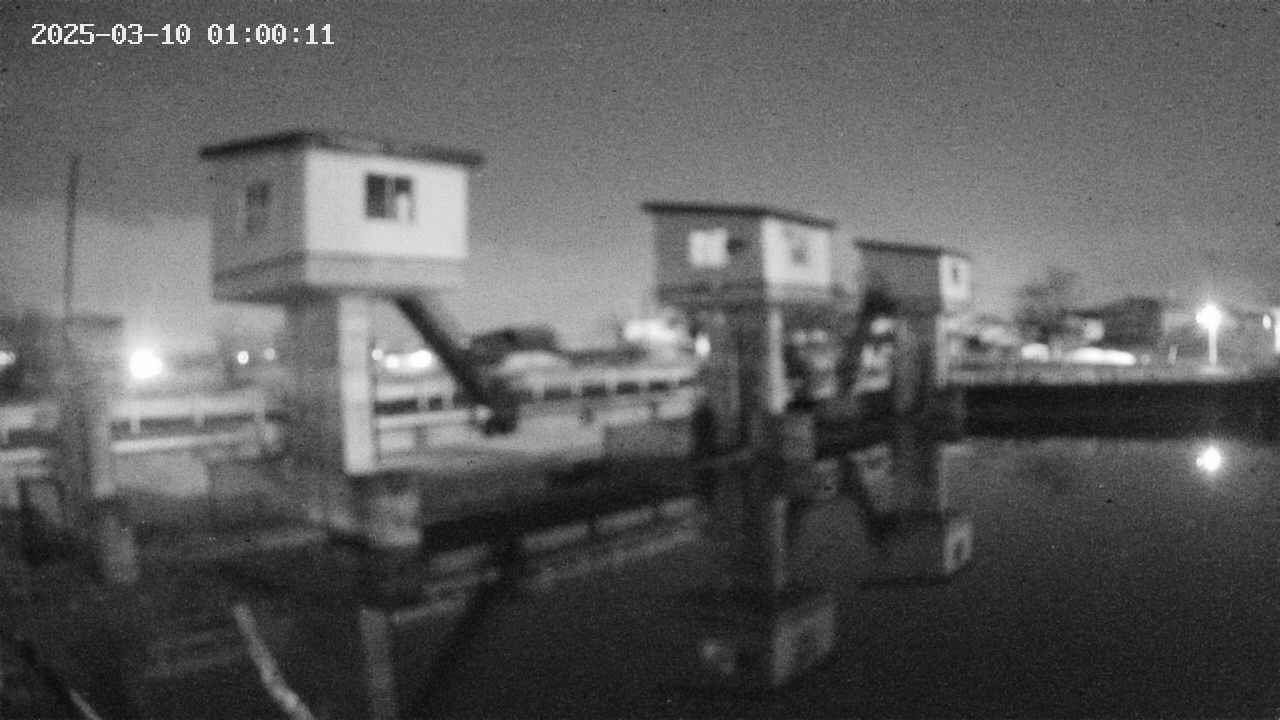 area1-20250310010012.jpg