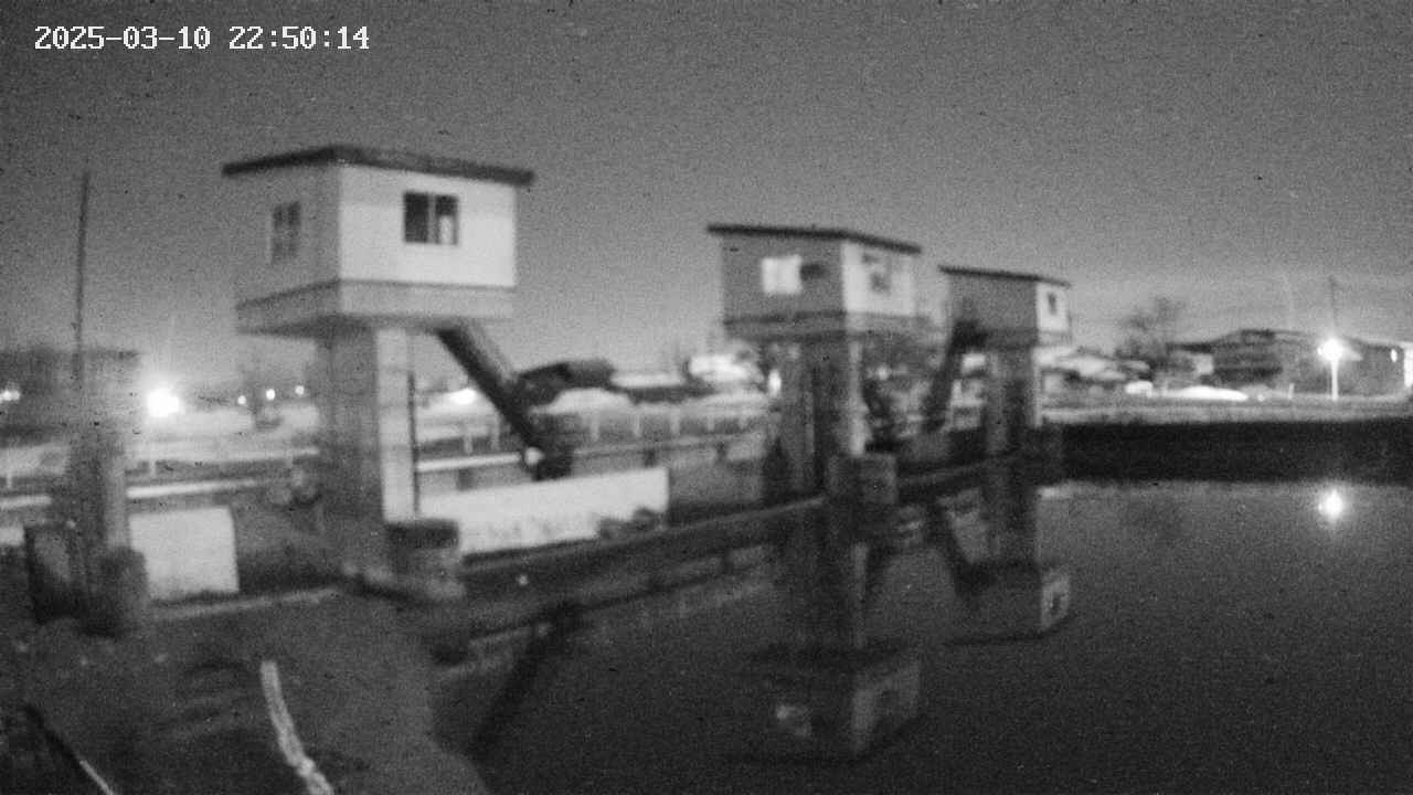 area1-20250310225014.jpg