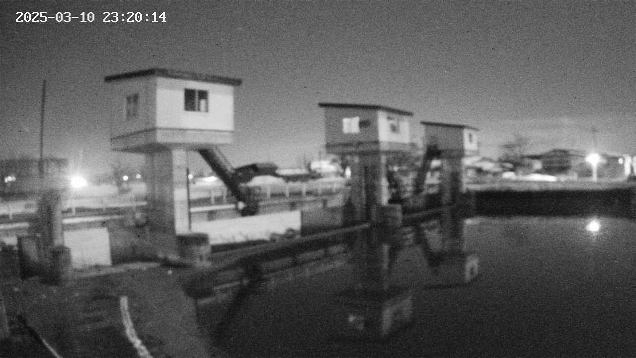 area1-20250310232015.jpg