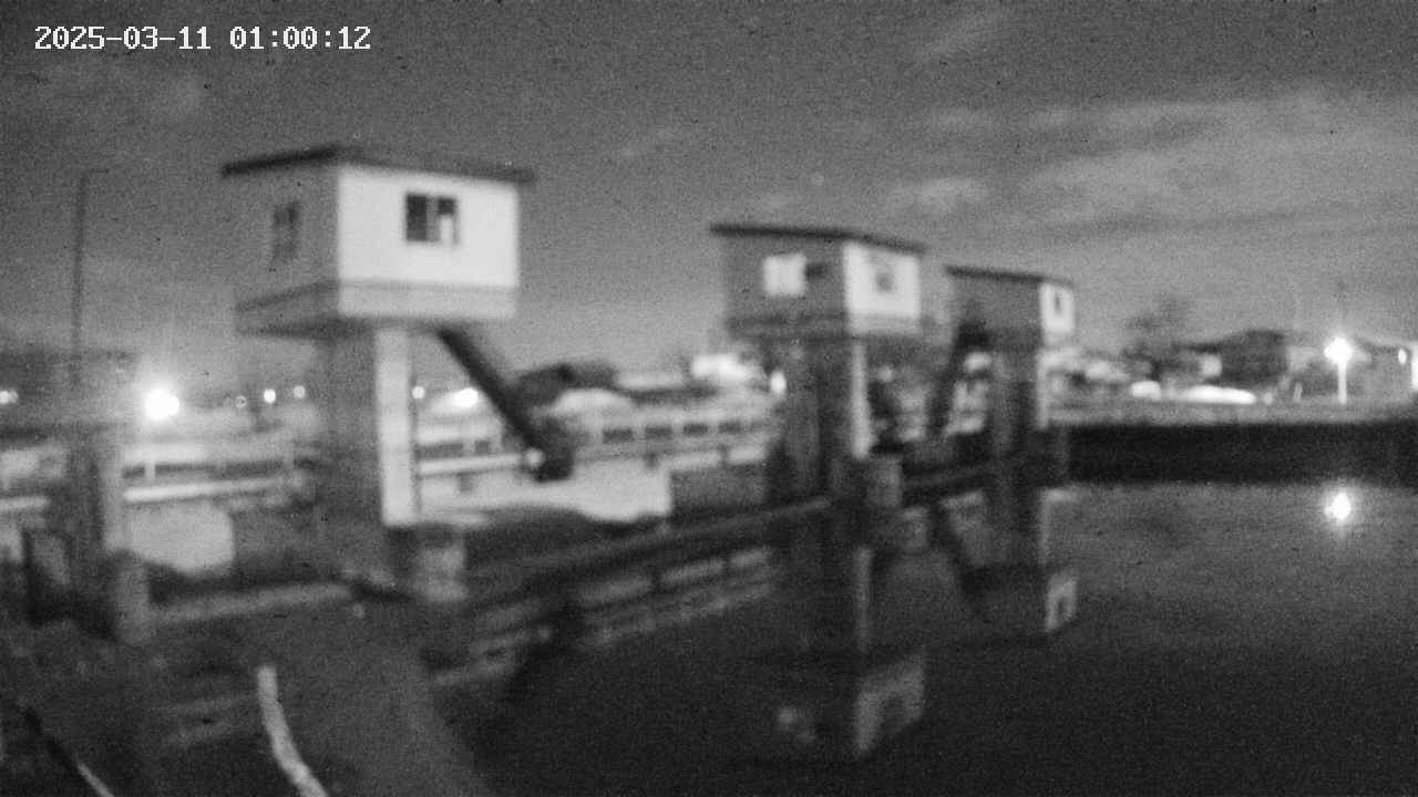 area1-20250311010014.jpg