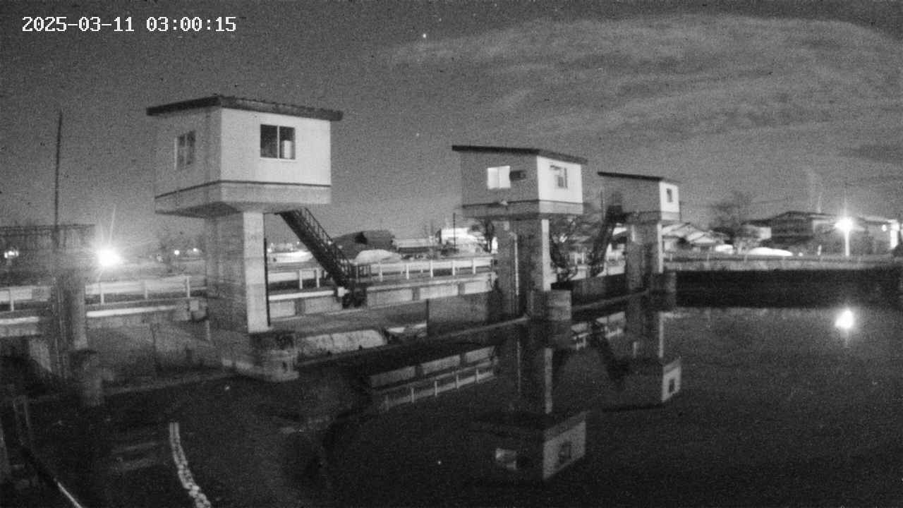 area1-20250311030016.jpg