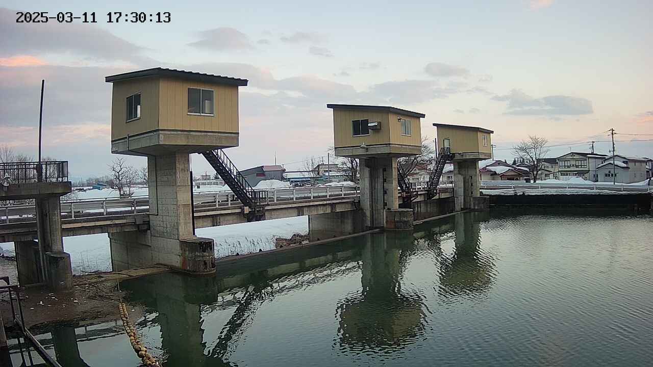 area1-20250311173015.jpg
