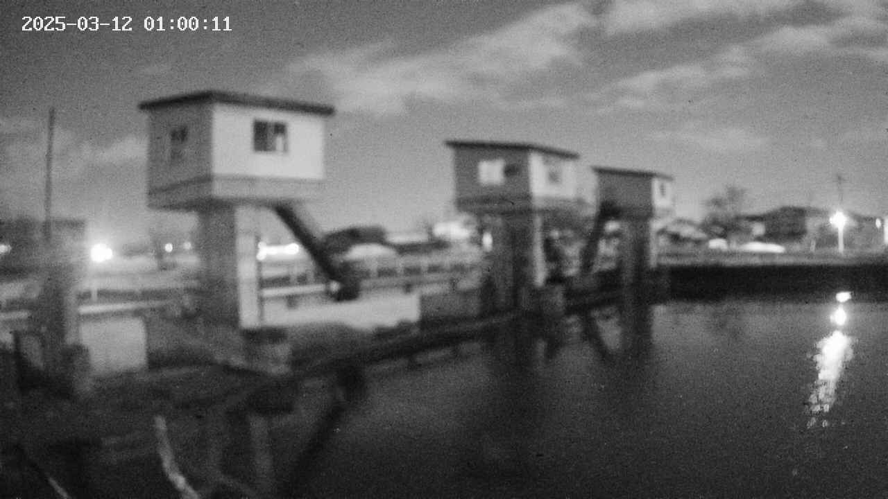 area1-20250312010012.jpg