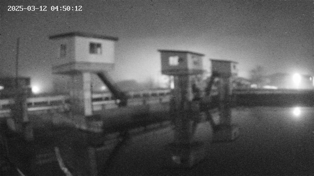 area1-20250312045013.jpg