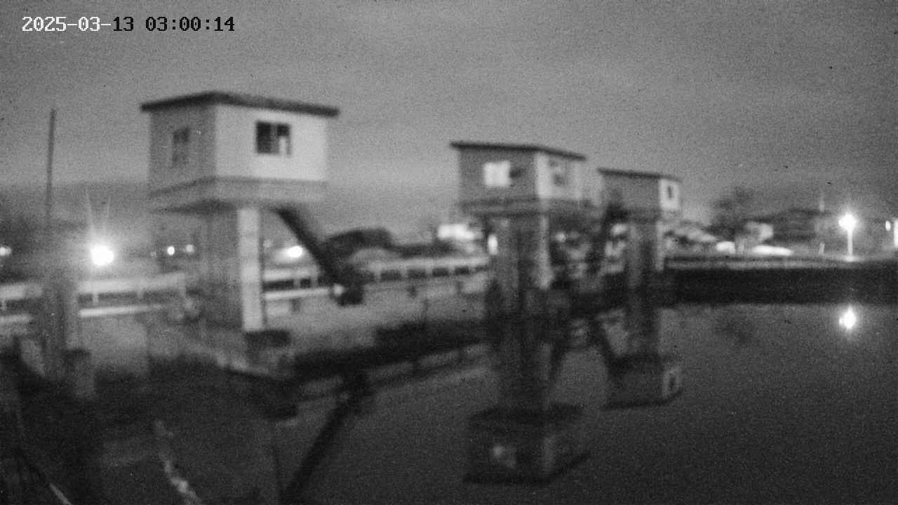 area1-20250313030016.jpg