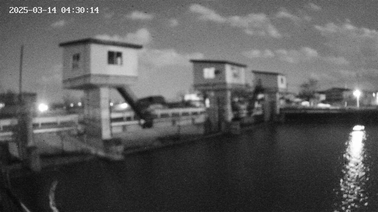 area1-20250314043016.jpg