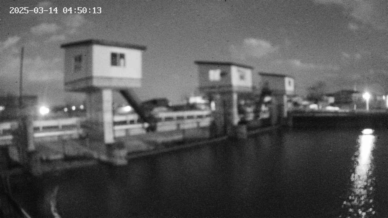 area1-20250314045014.jpg
