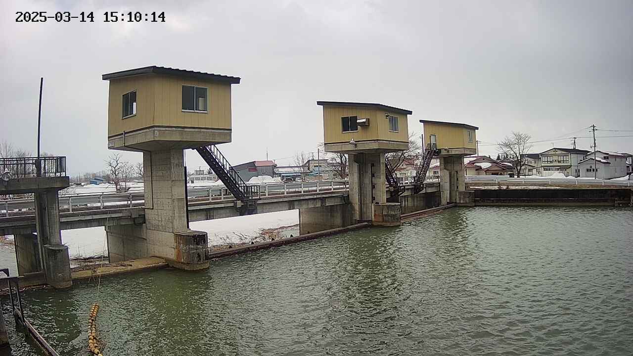 area1-20250314151016.jpg