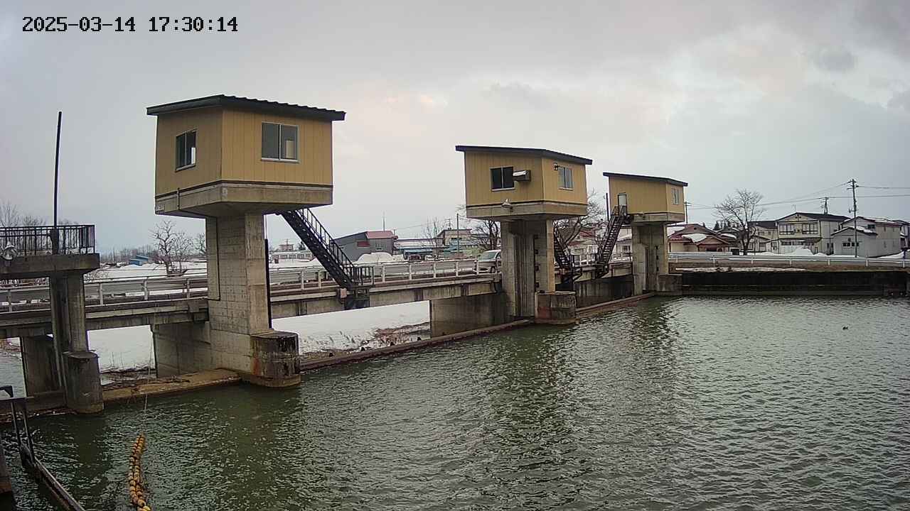 area1-20250314173015.jpg