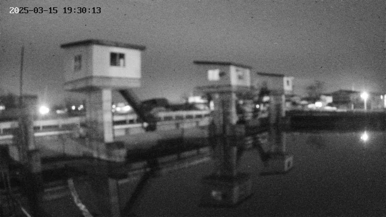 area1-20250315193013.jpg