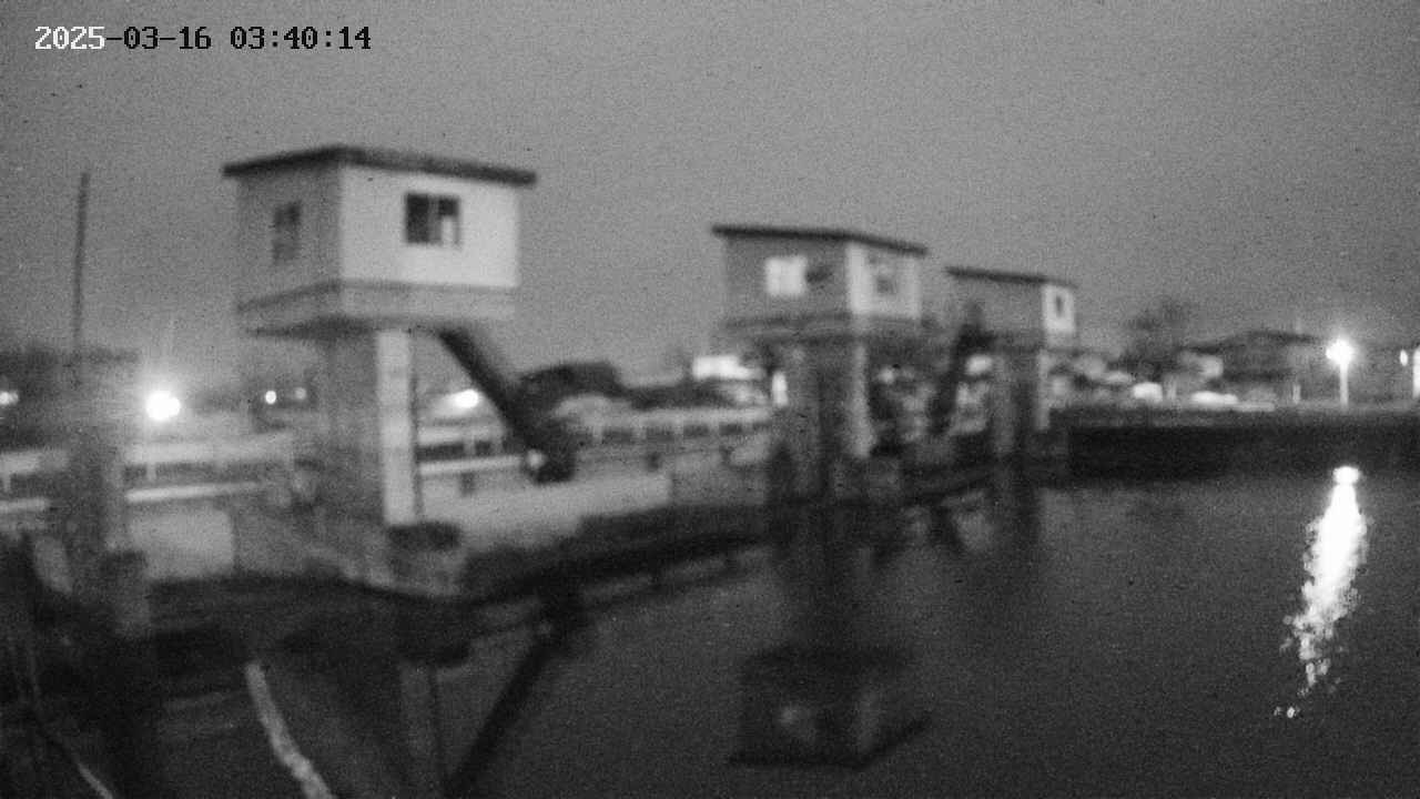 area1-20250316034016.jpg