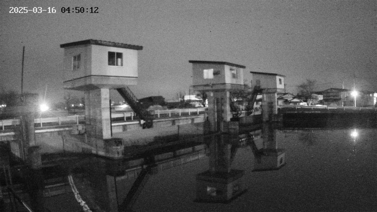 area1-20250316045013.jpg