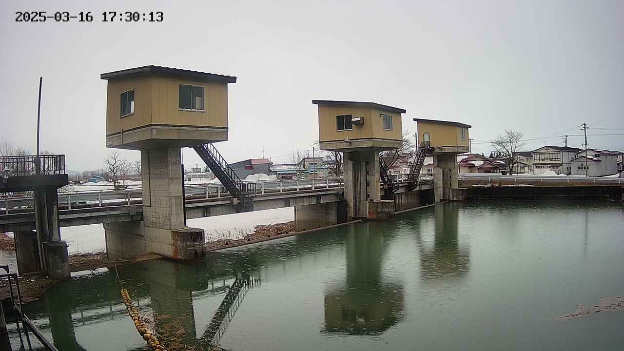 area1-20250316173014.jpg