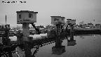 area1-20250319052015.jpg