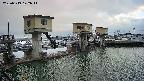 area1-20250319172015.jpg