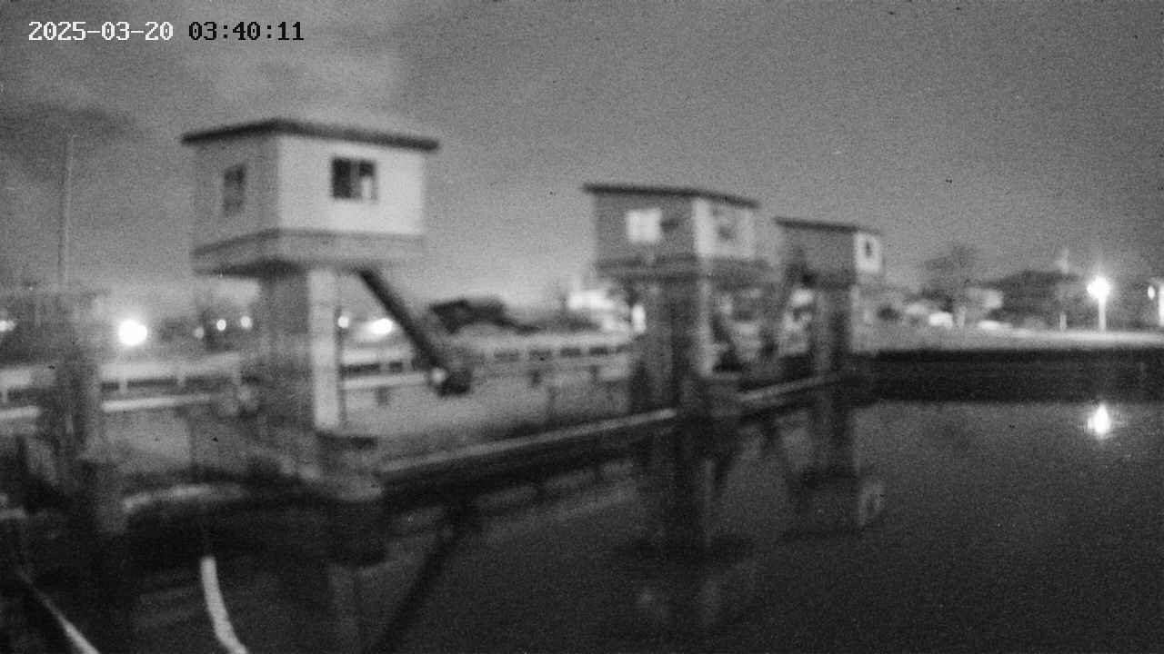 area1-20250320034012.jpg