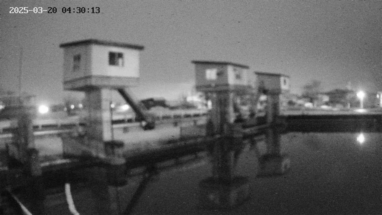 area1-20250320043014.jpg