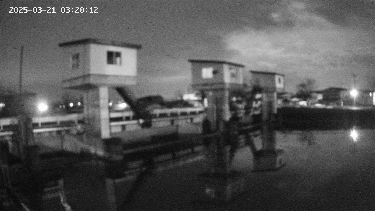 area1-20250321032013.jpg