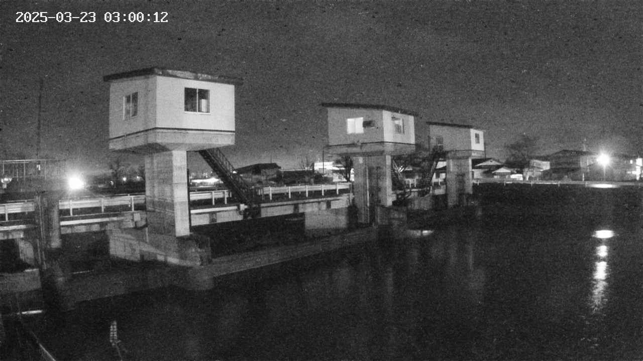 area1-20250323030013.jpg