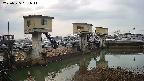 area1-20250325061013.jpg