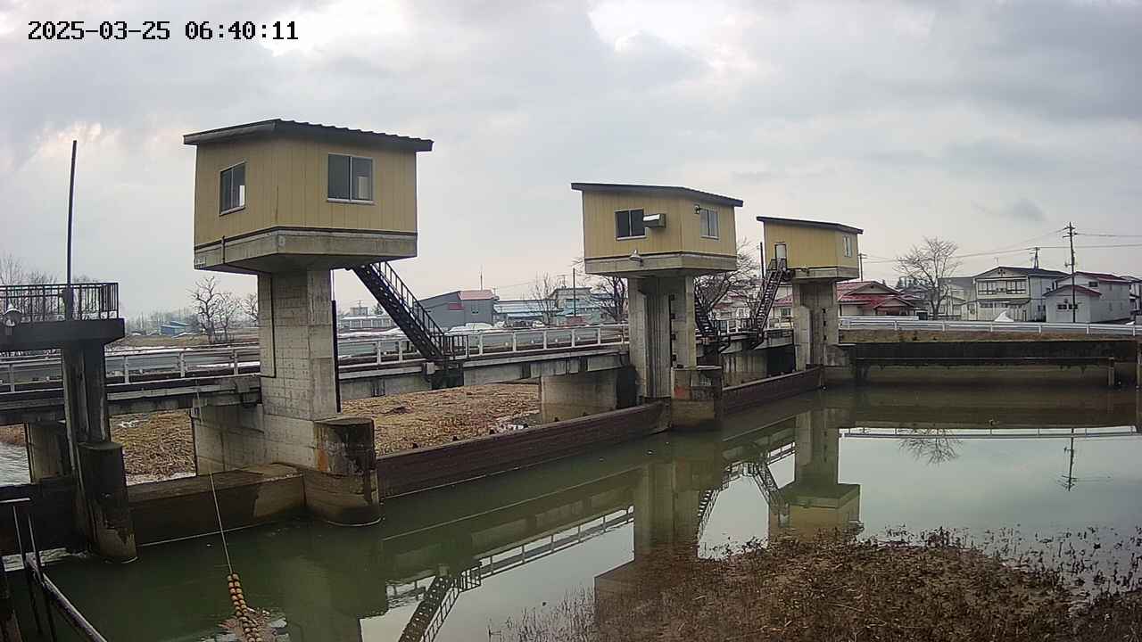 area1-20250325064013.jpg