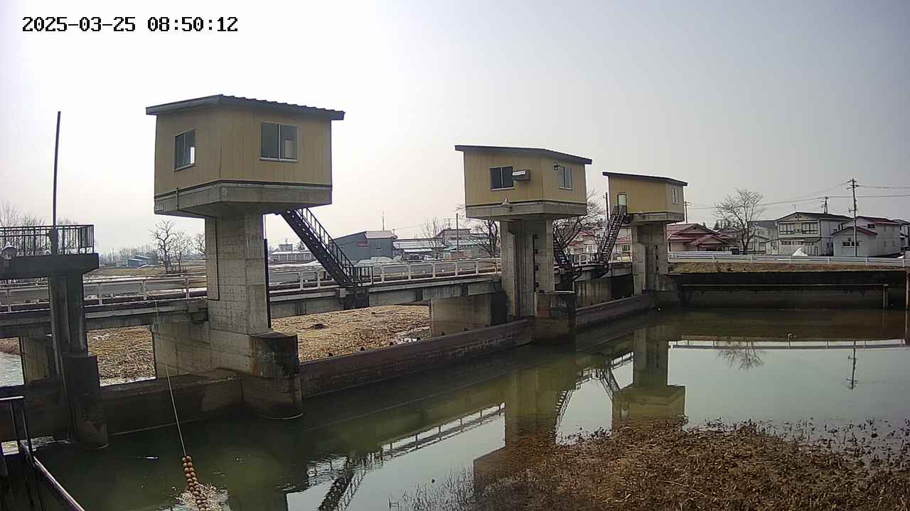 area1-20250325085013.jpg