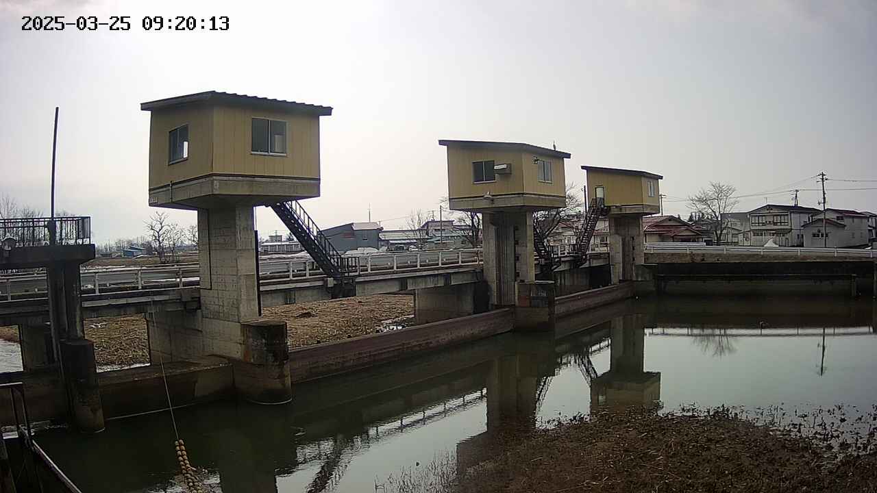 area1-20250325092014.jpg
