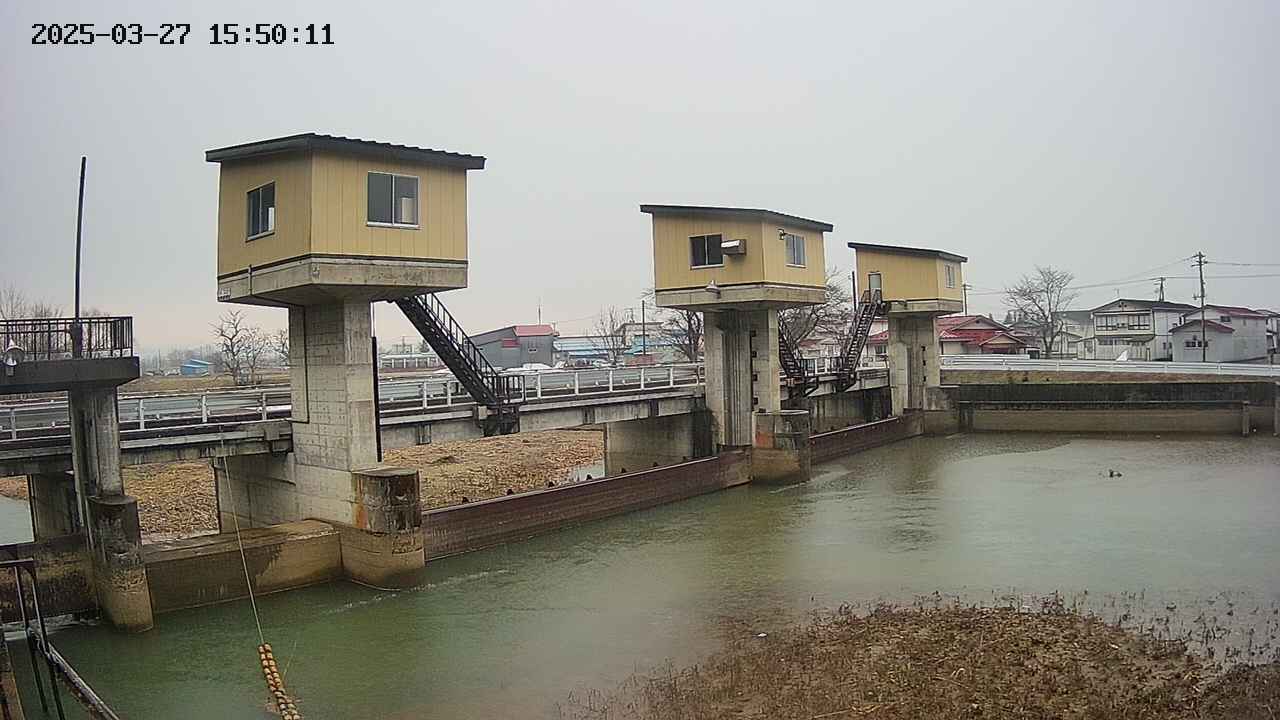 area1-20250327155012.jpg