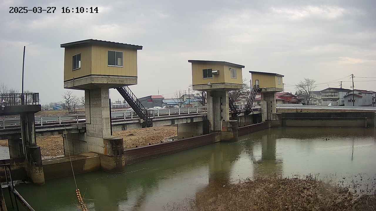 area1-20250327161016.jpg