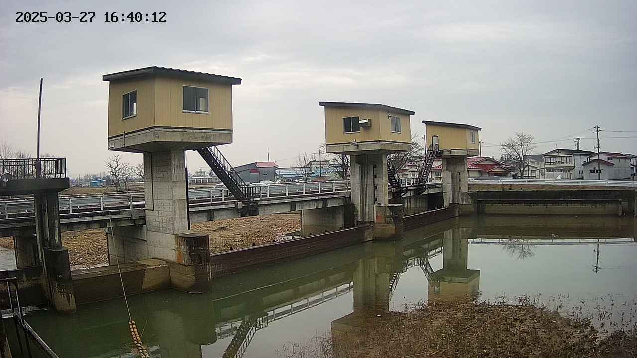 area1-20250327164013.jpg