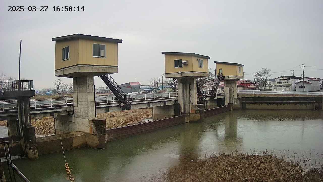 area1-20250327165016.jpg