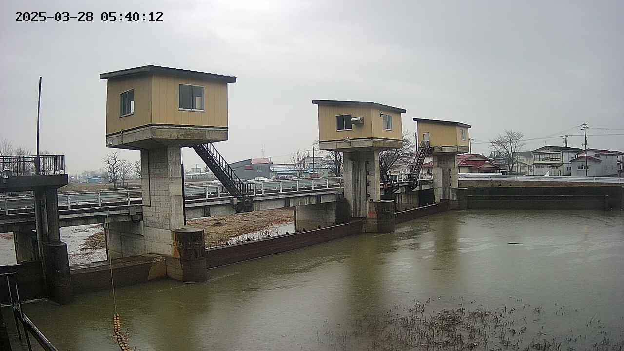 area1-20250328054013.jpg