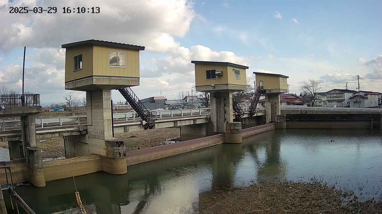 area1-20250329161014.jpg