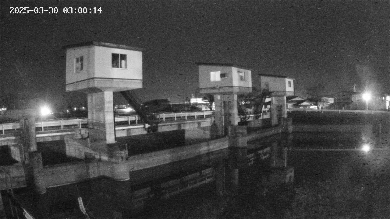 area1-20250330030015.jpg