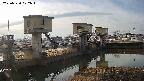 area1-20250330072013.jpg