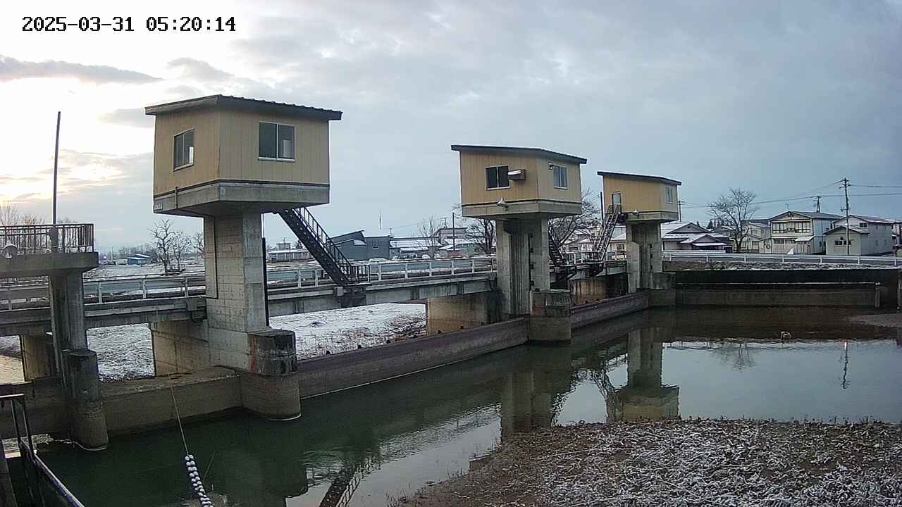 area1-20250331052015.jpg