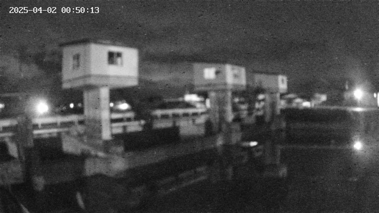 area1-20250402005014.jpg