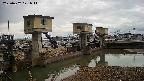 area1-20250402071012.jpg