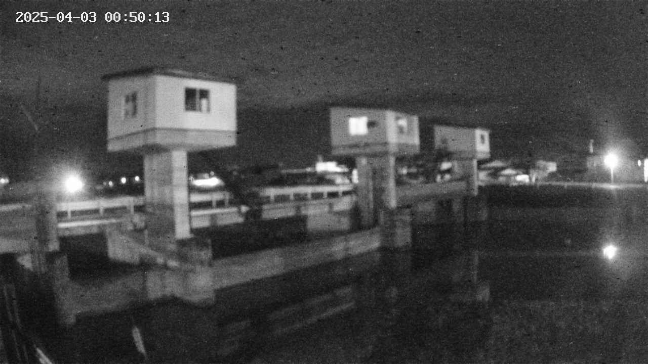area1-20250403005013.jpg