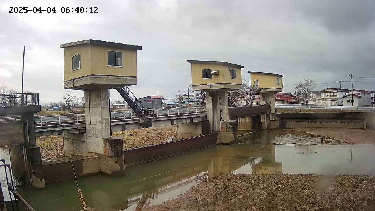 area1-20250404064013.jpg