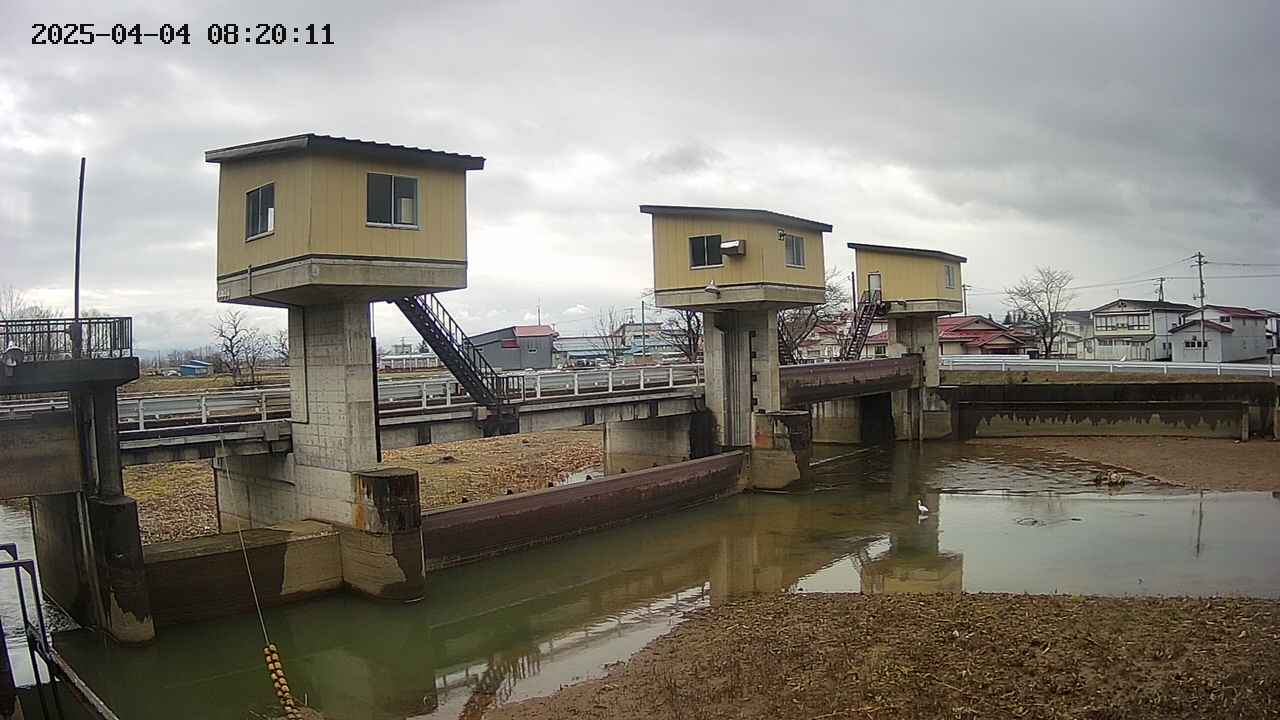 area1-20250404082012.jpg