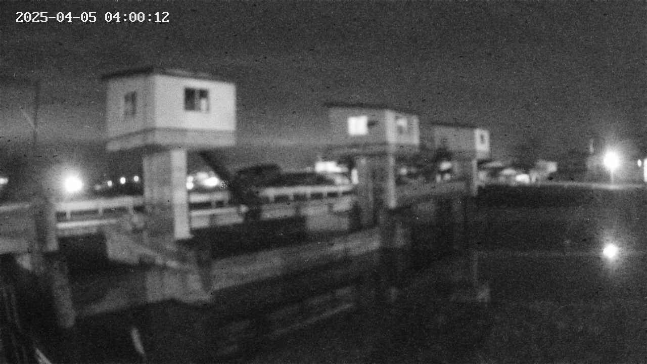 area1-20250405040013.jpg