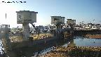 area1-20250405072015.jpg