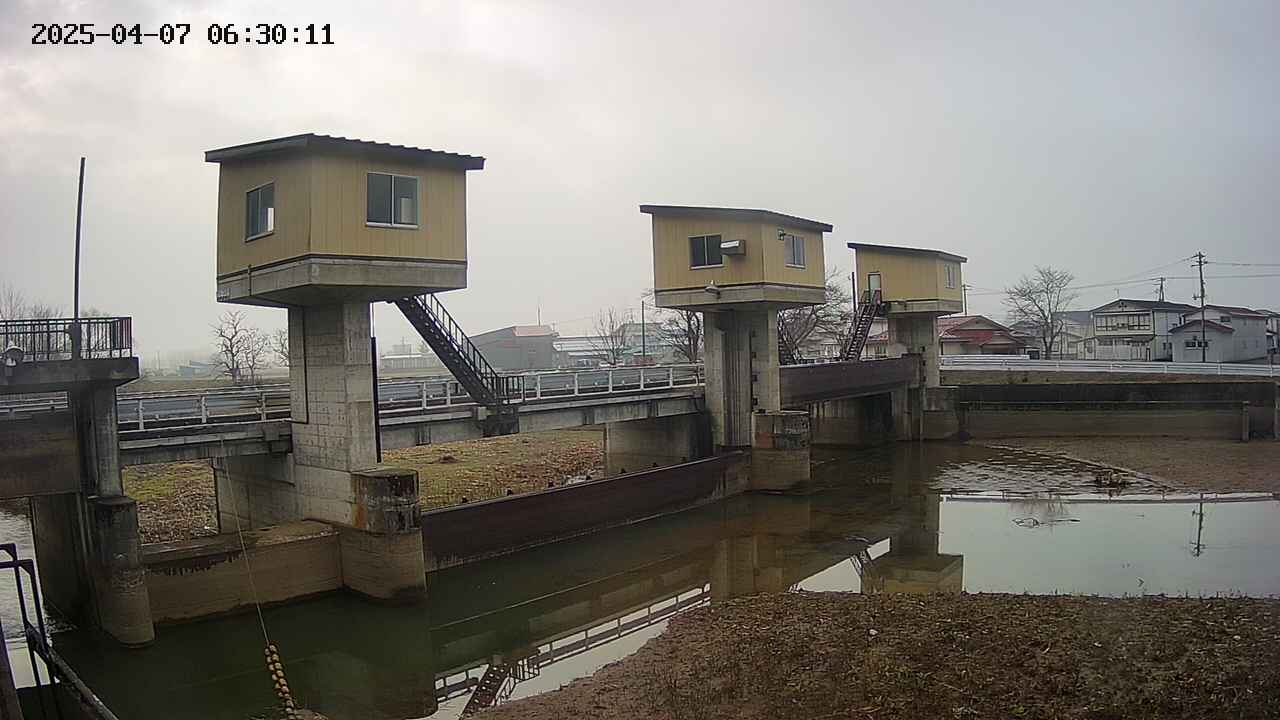 area1-20250407063012.jpg