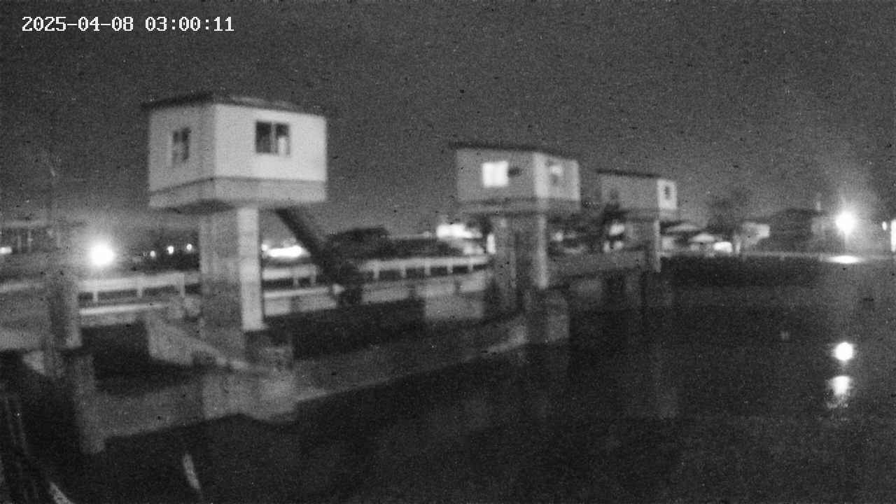 area1-20250408030012.jpg
