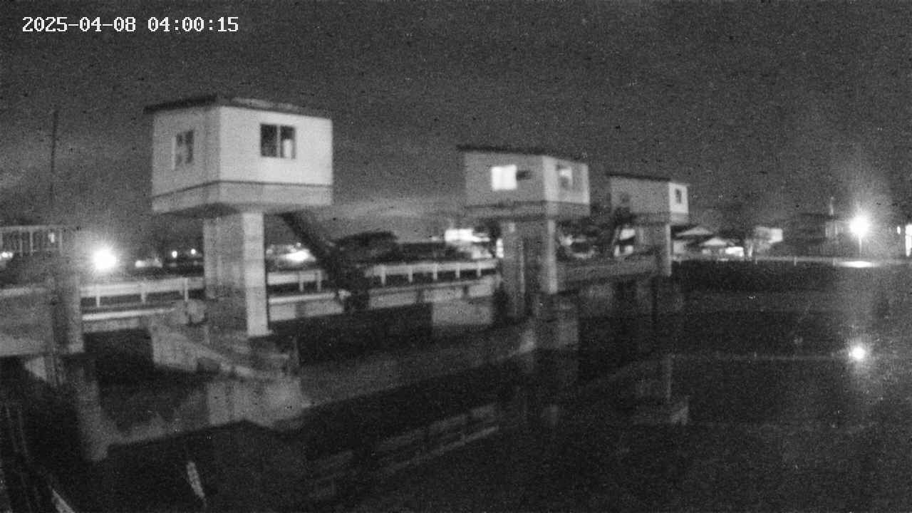 area1-20250408040016.jpg