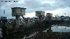 area1-20250408050015.jpg